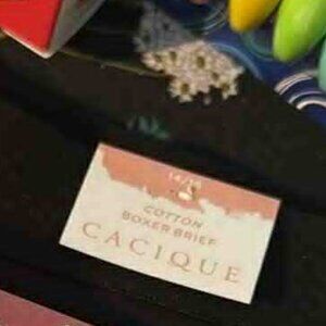 Lane Bryant Cacique Panty Cotton Boxer Briefs NEW W/tag